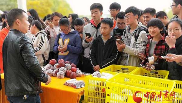 陇南市西和县“农特电商进高校” 为电商扶贫开辟新途径（图）