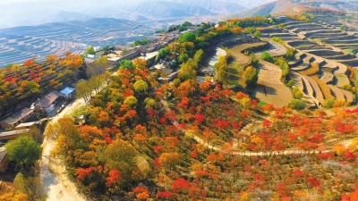 定西安定区车道岭秋景（图）