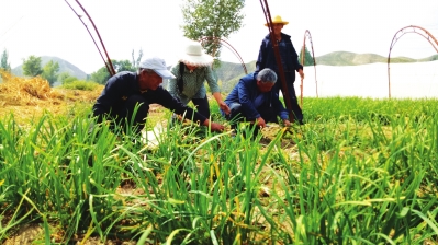 兰州皋兰党建引领整县脱贫 走出一条“抱团取暖”的扶贫路（图）