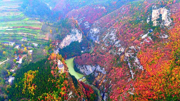 无人机之旅|航拍“汉三颂”之《西狭颂》碑所在景区