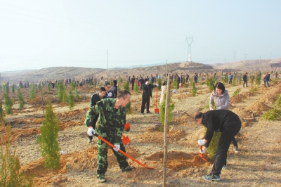 白银市平川区组织干部职工在水泉镇象鼻坡开展植树造林活动