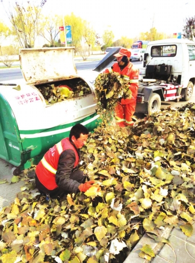 兰州市七里河区环卫局全力做好冬季落叶清扫工作（图）