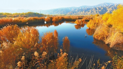 临夏州永靖县太极岛黄河湿地景色迷人