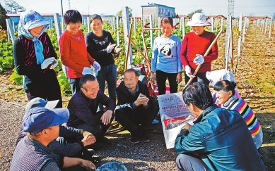 庆阳市宁县十九大精神宣讲到田头