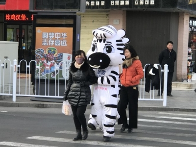 兰州：志愿者街头劝导文明行走 呼吁驾驶员“礼让斑马线”