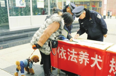 兰州市规范养犬 维护市容环境（图）