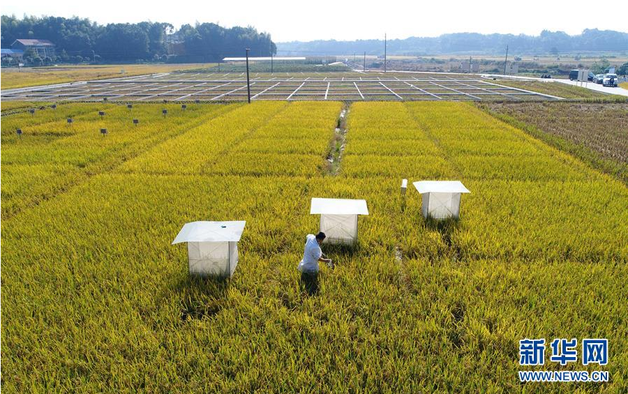 向好开新篇--党的十八大以来我国三农发展成