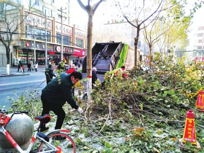 兰州市城关区集中对2387株行道树整形 解决影响采光通风等问题（图）