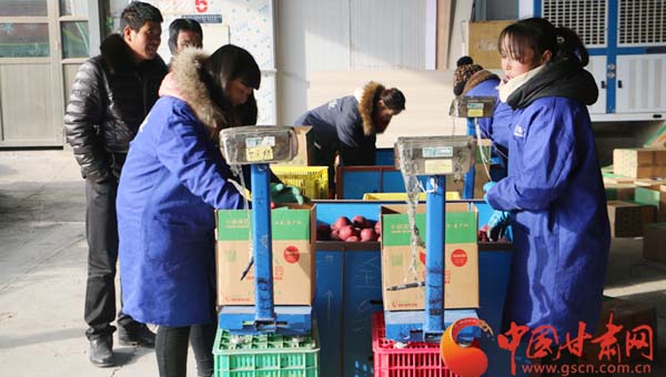 陇南市礼县苹果搭乘电商快车飘香世界(图)