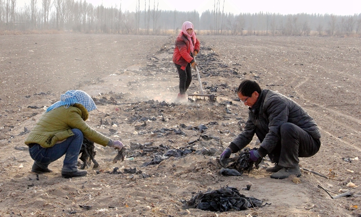 甘肃高台：废旧地膜清理改善乡村环境