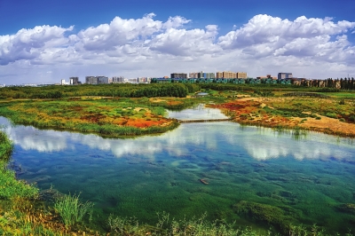 兰州秦王川湿地公园升格“国家级”（图）