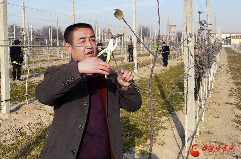 庆阳良平人口_甘肃庆阳图片