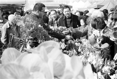 兰州花卉市场“旺旺旺” 盆栽、鲜花价格普降销量翻倍