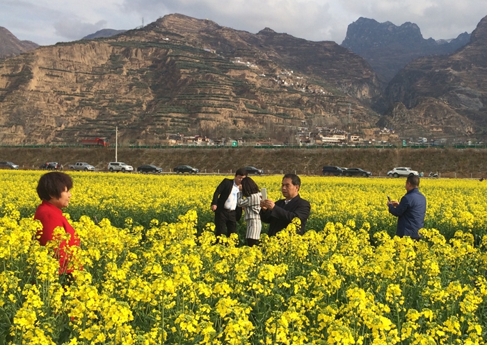 陇南武都：踏青赏花正当时