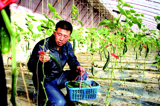 人勤春早备耕忙 酒泉肃州区三春生产全面铺开（图）