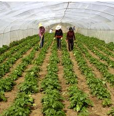 【农业】《甘肃省第三次全国农业普查主要数据公报》发布