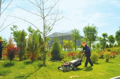 铜城大地竞芳华——白银市白银区推进国土绿化行动工作速写