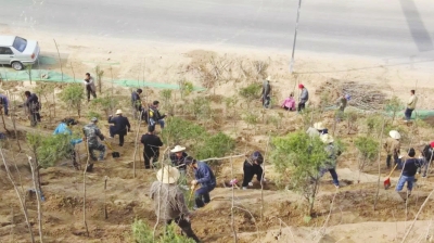 植树节 兰州市榆中县金崖镇为马莲沟北面山体栽下6000棵树（图）