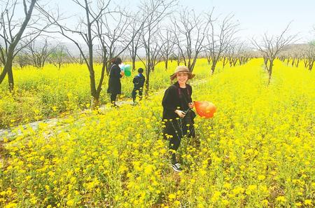 甘肃平凉：乡村美景引人入胜（图）