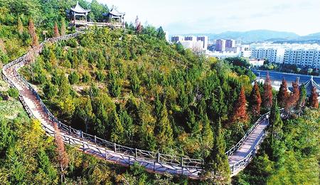 【生态聚焦】春来处处绿意浓——天水市清水县林业生态建设见闻