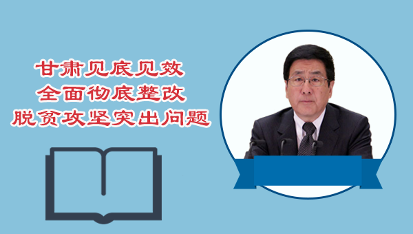 图解|甘肃见底见效全面彻底整改脱贫攻坚突出问题