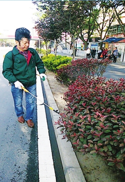 兰州市城关区集中防治夏季苗木病虫害 确保花草树木健康生长（图）