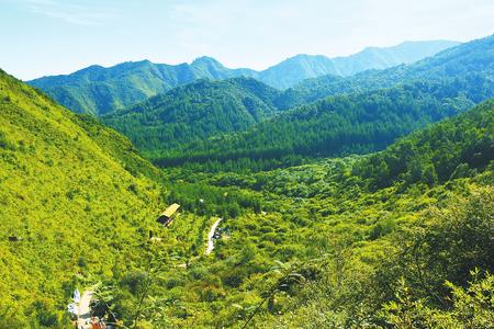 绿染大地绘锦绣 ——定西市发扬“三苦精神”植树造林纪实