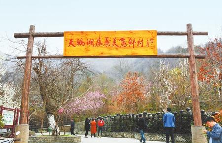 甘肃酒泉：无土栽培让戈壁荒滩变身“菜园果篮”