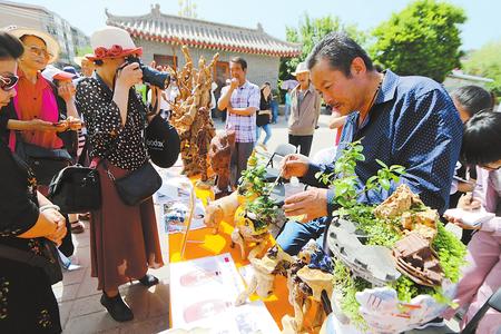 平凉市举行文化和自然遗产日活动（图）