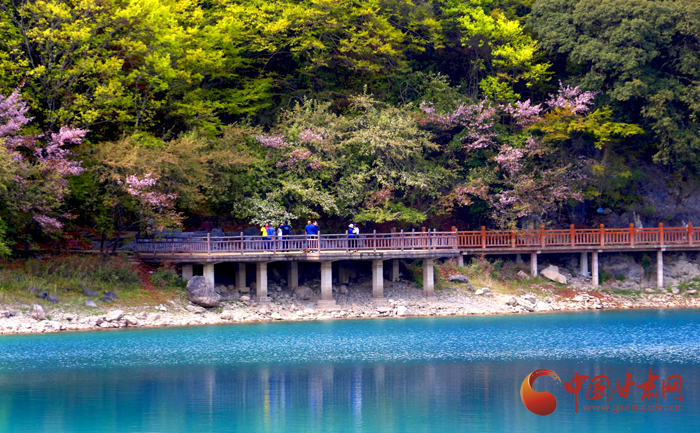 陇南文县：“文旅强县”吹响全域旅游集结号（图）