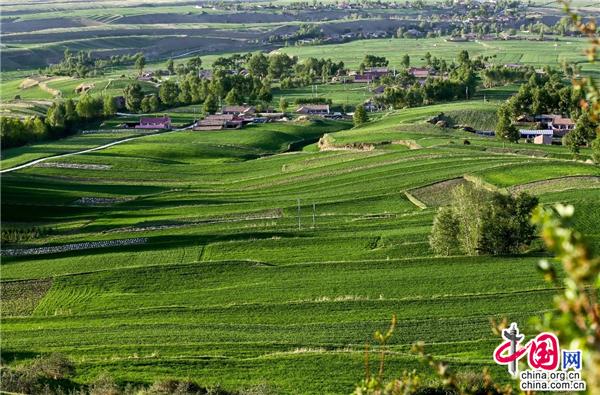 甘肃民乐举办青龙寺旅游文化艺术节推广乡村游
