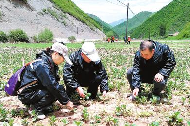 定西市岷县推进“5·16”雹洪灾害受灾地区复耕工作