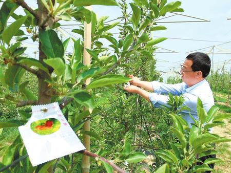 平凉市静宁县大力开展苹果病虫害预测预报及防控体系建设