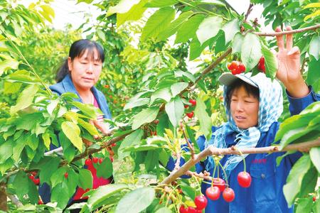 荒漠上崛起绿色产业园——酒泉市戈壁农业发展综述