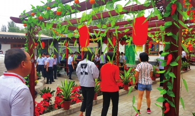 独石河畔风光美 移民新村“花儿”红 白银举办岷漳情·花儿会