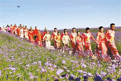 全国各地99对新人在金昌紫金花海举行中式集体婚礼
