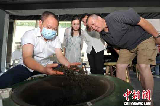 2018南明黔茶飘香·品茗健康茶文化系列活动