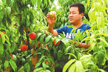 白银市平川区走出了一条绿色崛起、生态富民的新路子