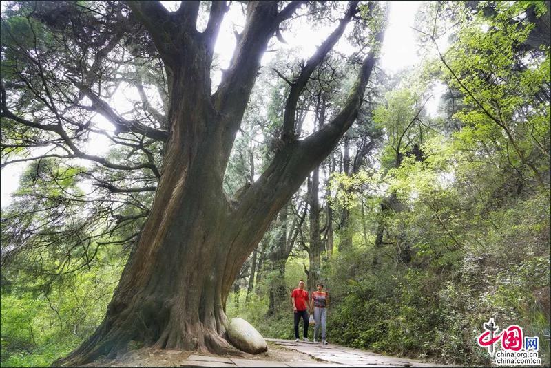 四川蜀道地标剑门关:曾经的三国战场 如今的旅