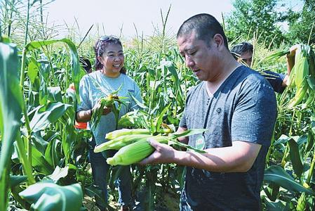 “2018甘肃榆中农民丰收节暨第七届水果玉米迷宫嘉年华”在榆中举行