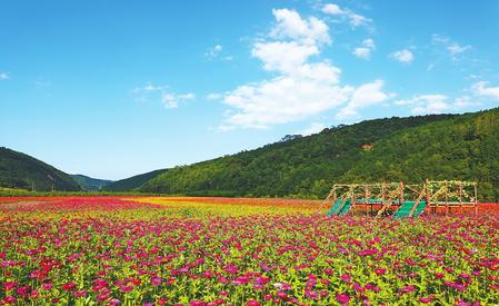 庆阳市合水县太白镇全力打造乡村旅游景点