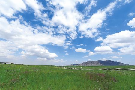 “最美草原”唱起动人牧歌——走进大美祁连山系列报道之三