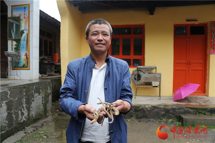 脱贫攻坚看甘肃|中药材种植和畜牧养殖多措并举 和政县狼土泉村群众增收有“底气”（组图）