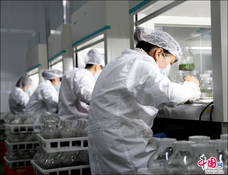 贵州独山: 产城景融合发展 三宜城市路更宽