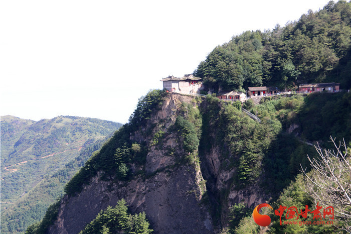 甘肃 本网原创  据陇南市西和县林业局谢书博介绍,西和县香山