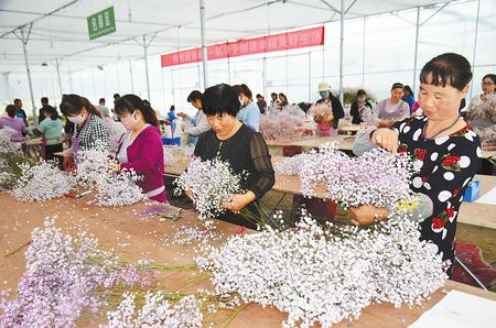 定西渭源县鲜切花试验示范产业园带动农民脱贫致富（图）