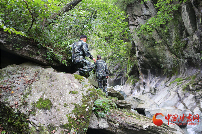 陇原环保世纪行|陇南碧口正水沟里寻熊猫  走访护林员艰辛巡山路(组图)