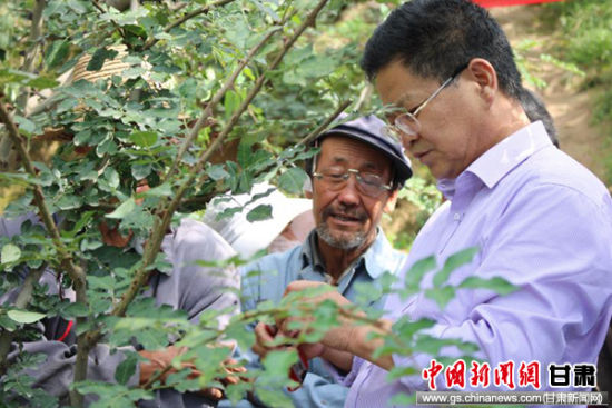 临夏永靖开展林果产业技术培训 激发内生动力助推扶贫