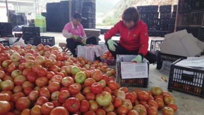 戮力同心铺出幸福路——兰州市皋兰县脱贫纪实