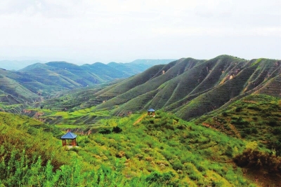 昔日荒山长满幸福树——兰州市榆中县实施生态扶贫助力脱贫攻坚